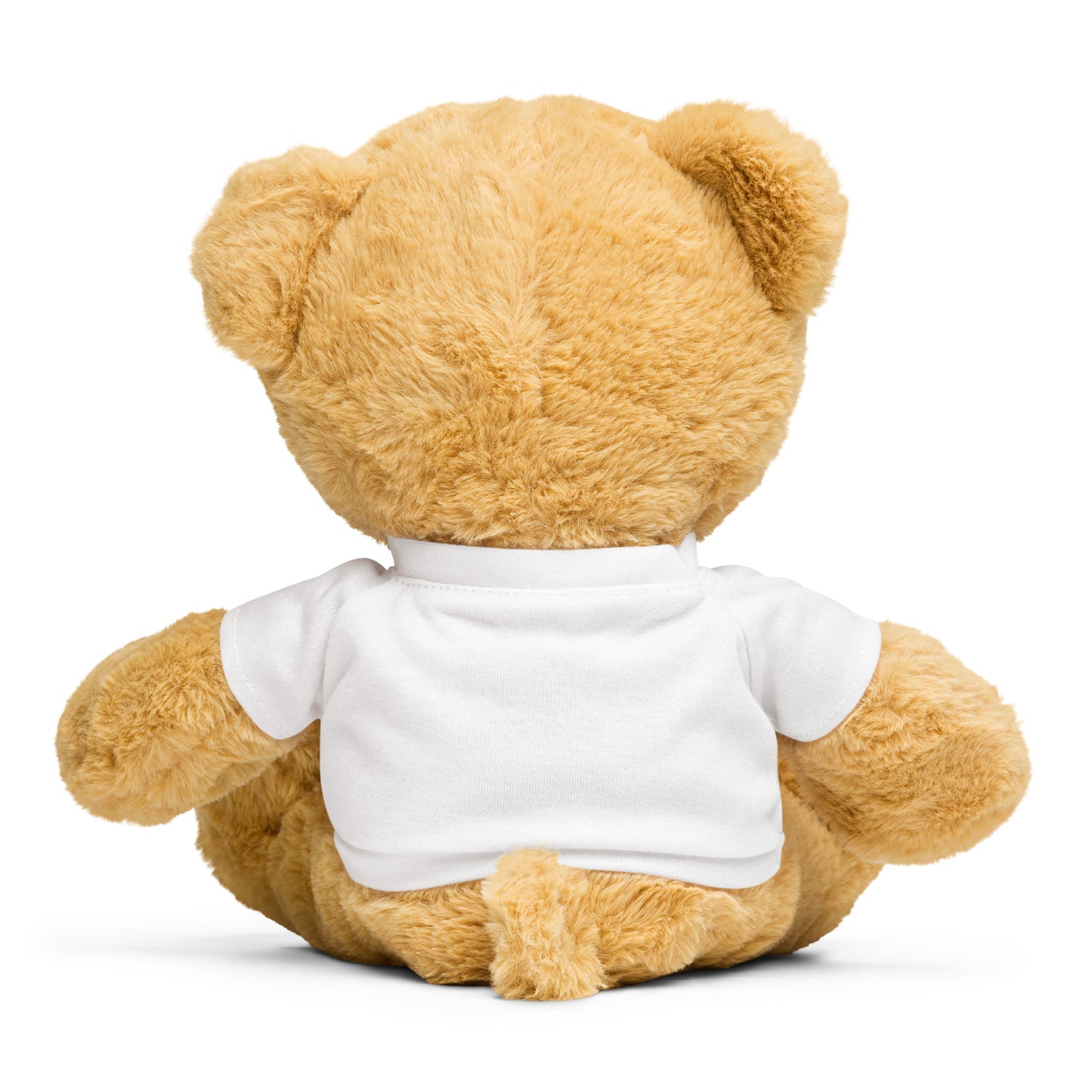 Teddy bear with a t-shirt Dolledlife