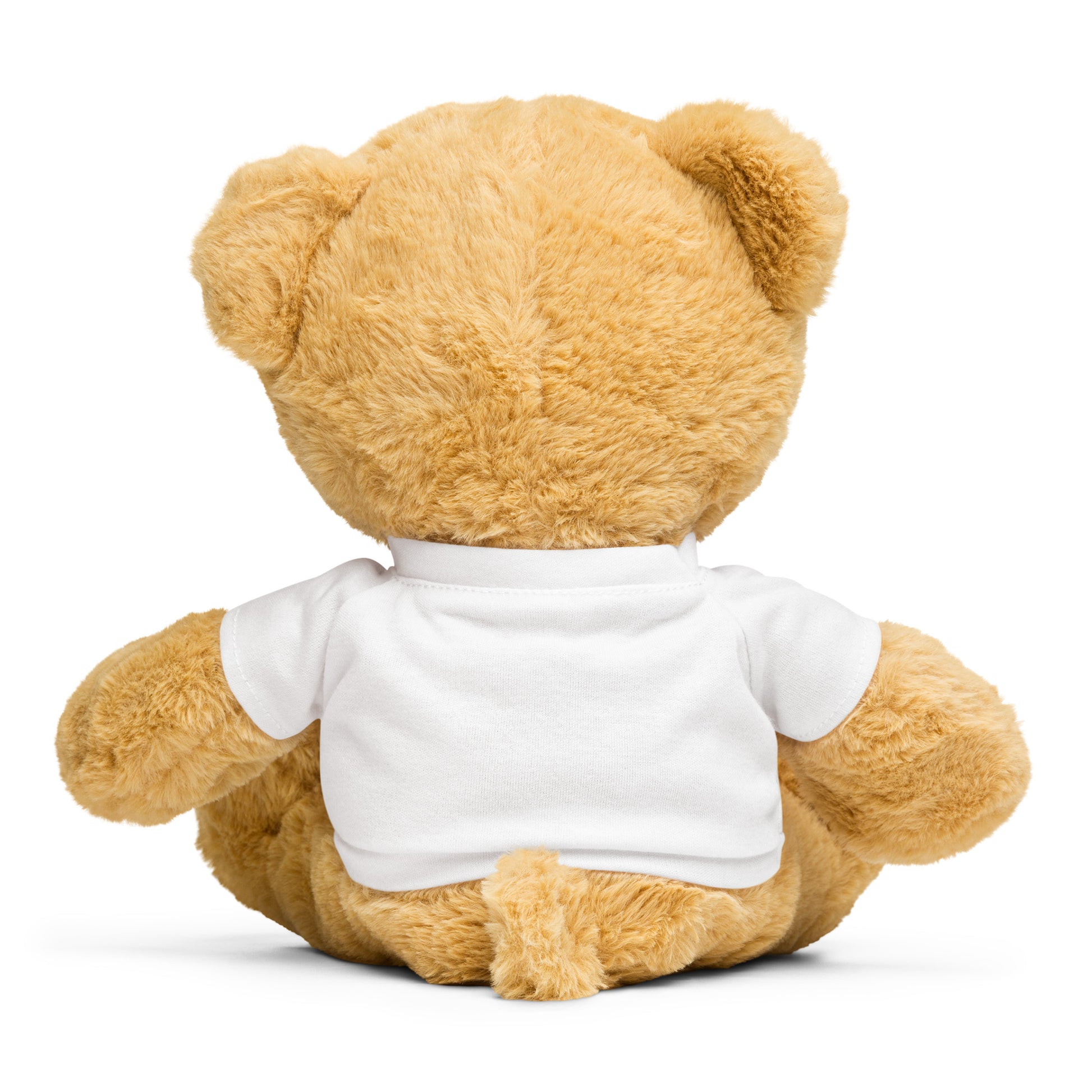 Teddy bear with a t-shirt Dolledlife